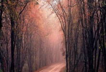 开云体育在线-魔幻夜！英超焦点战姆巴佩对狙杜兰特赛后采访炸出惊天语录